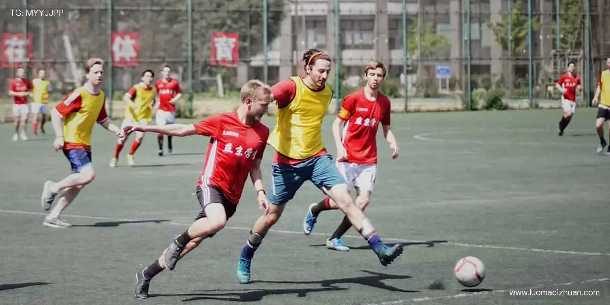 ✨ 一键订阅,精彩不断!最新赛事资讯,第一时间送达!